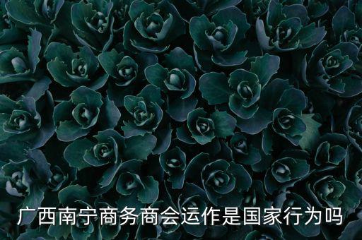 南寧什么時(shí)候打擊傳銷，廣西南寧有傳銷嗎