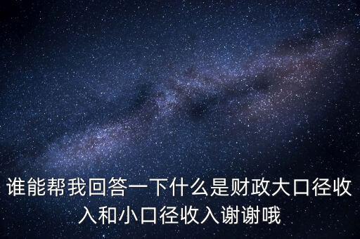財(cái)務(wù)口徑是什么，誰能幫我回答一下什么是財(cái)政大口徑收入和小口徑收入謝謝哦