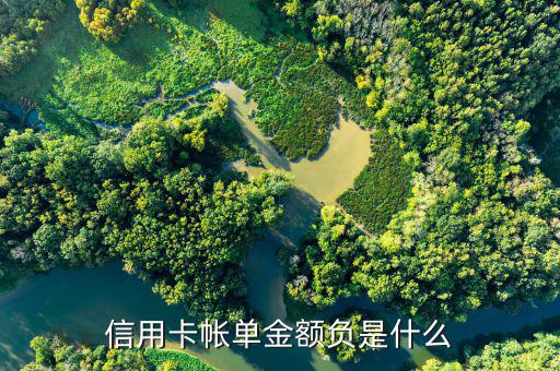 深圳發(fā)展銀行信用卡負(fù)金額是什么意思，信用卡帳單金額負(fù)是什么