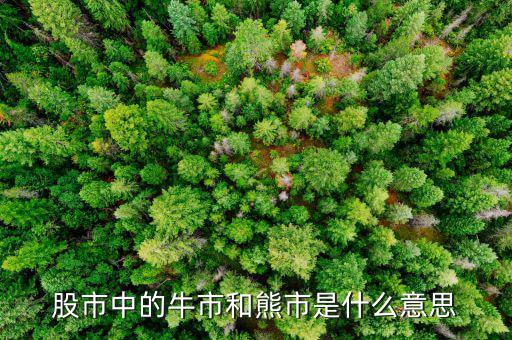 熊市的意思是什么，股市中的牛市和熊市是什么意思