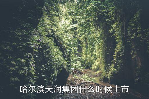 天潤乳業(yè)什么時候上市，哈爾濱天潤集團什么時候上市