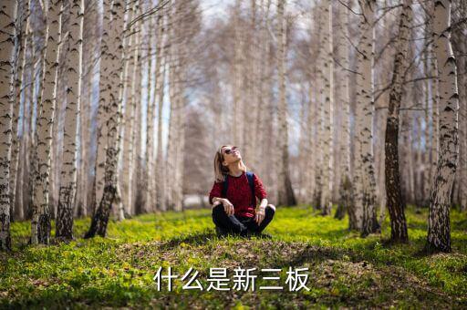 股票發(fā)行新三版是什么版塊，什么是新三板