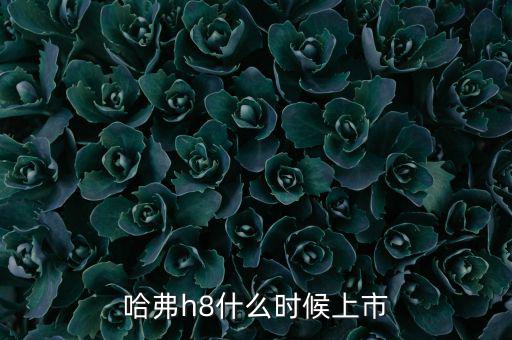 哈佛h8什么時候上市的，哈弗h8什么時候上市