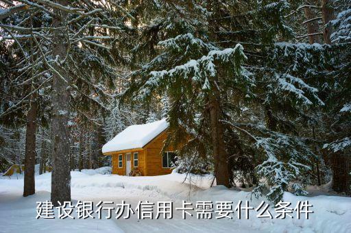 辦理建設(shè)銀行信用卡需要什么條件，建設(shè)銀行辦信用卡需要什么條件
