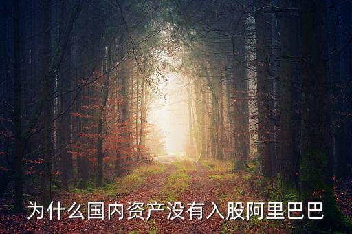 當初為什么沒投阿里巴巴，為什么國內資產沒有入股阿里巴巴