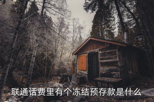 凍結(jié)預(yù)存款是什么意思，聯(lián)通話費(fèi)里有個(gè)凍結(jié)預(yù)存款是什么