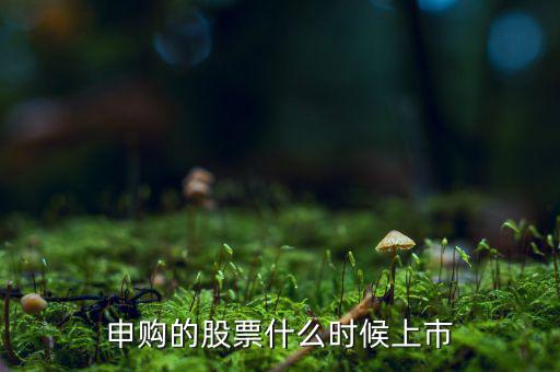 四方申購(gòu)什么時(shí)候上市，申購(gòu)的新股什么時(shí)候上市交易