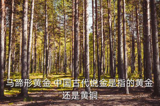 中國(guó)古代的黃金是什么，古代中國(guó)都使用了哪些金屬