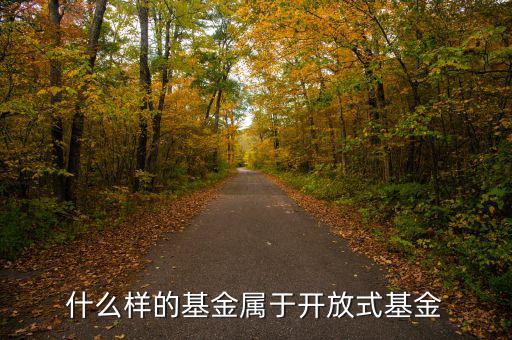 開放式基金是什么，什么叫做開放式基金