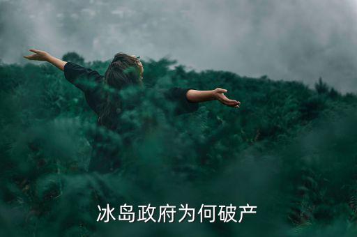 冰島為什么破產(chǎn)，冰島政府為何破產(chǎn)
