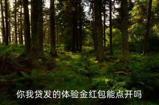 你我貸的體驗(yàn)金是什么意思，你我貸體驗(yàn)金怎么用