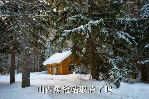 山西煤檢人員什么時(shí)間安置，山西省山陰縣岱馬路的煤檢啥時(shí)候取消