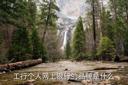 工行電子銀行核心品牌是什么，工行個人網(wǎng)上銀行的品牌是什么