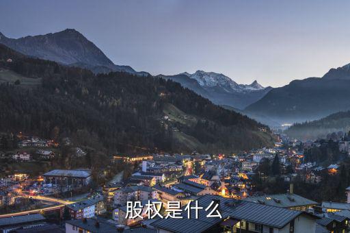 股權是什么