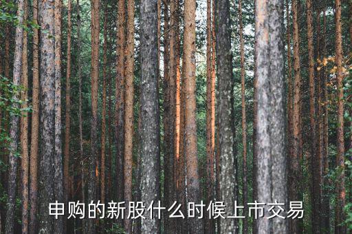 一般新股價(jià)什么時(shí)候出來(lái)，申購(gòu)的新股什么時(shí)候上市交易