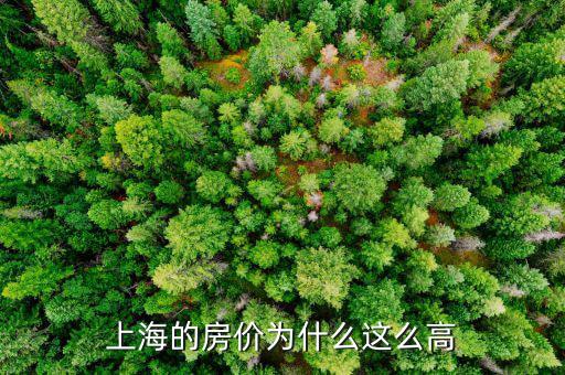 為什么上海房價突然漲，談一下上海房價去年瘋漲的原因