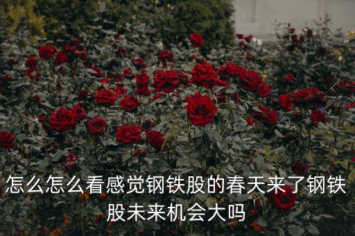 包鋼集團(tuán)是什么性質(zhì)，中國(guó)包頭大企業(yè)都有哪些什么性質(zhì)