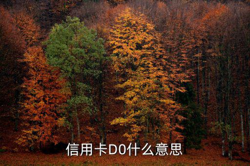 預付卡的贖回是什么意思，信用卡D0什么意思