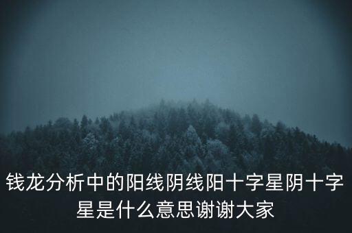 錢(qián)龍分析中的陽(yáng)線(xiàn)陰線(xiàn)陽(yáng)十字星陰十字星是什么意思謝謝大家