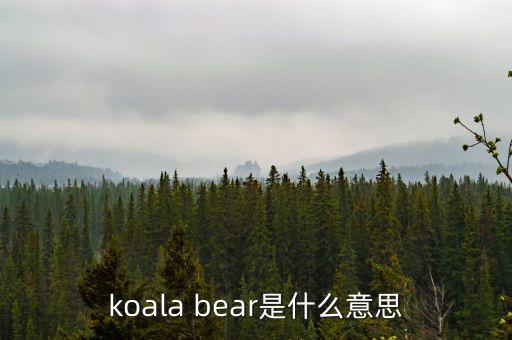 牛壓熊什么意思，tady bear是什么意思