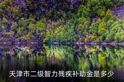 天津市對二級殘疾人有什么補助，二級殘疾人補助標(biāo)準(zhǔn)