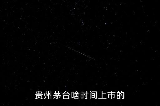 貴州茅臺(tái)什么時(shí)候上市，貴州茅臺(tái)啥時(shí)間上市的