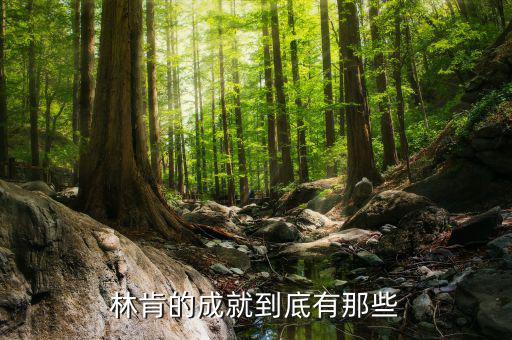 林肯的業(yè)績有什么，華盛頓林肯共同歷史功績