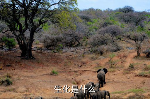 長(zhǎng)安生化是什么呢，生化是指什么呀