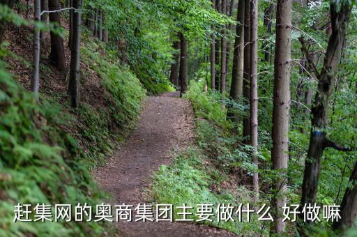 奧骨集團(tuán)是做什么的，趕集網(wǎng)的奧商集團(tuán)主要做什么 好做嘛