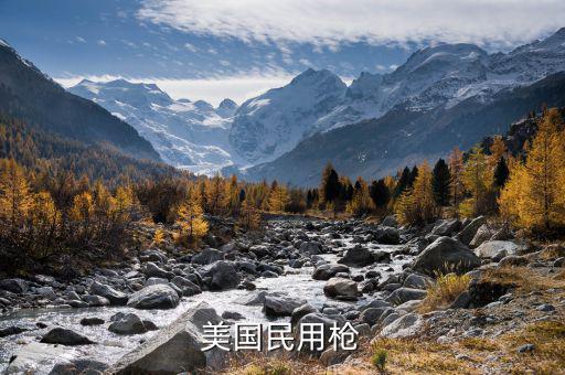 美國(guó)1994年禁什么槍，美國(guó)民用槍