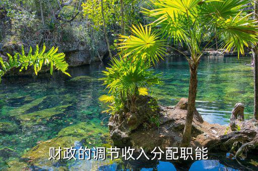 財政分配包括什么，向高手請教財政再分配都包括什么