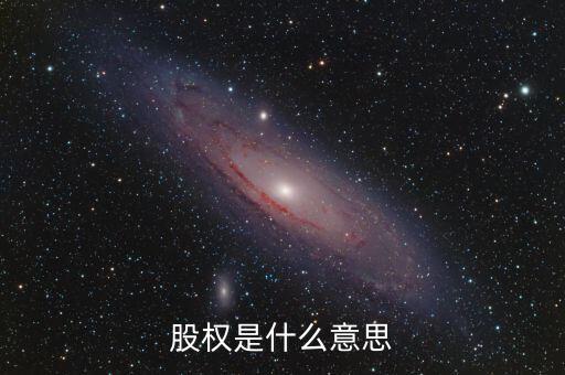 股權是什么意思