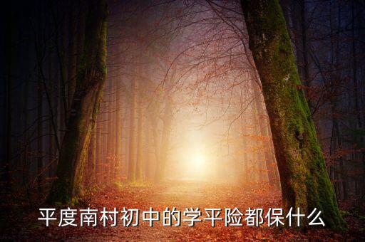 學平險保些什么，中國人壽60元的學平險保什么
