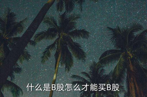 什么是b股賬戶，A股B股帳戶問題