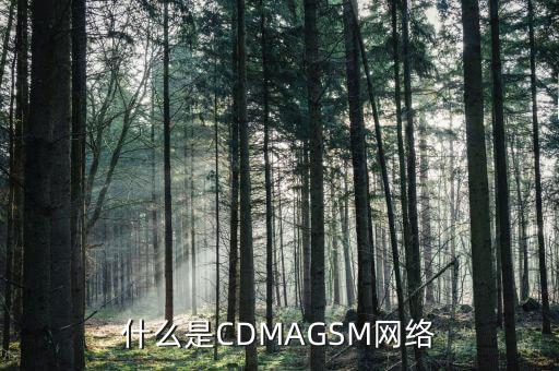電信cdma是什么網(wǎng)絡(luò)，cdma是什么網(wǎng)絡(luò)