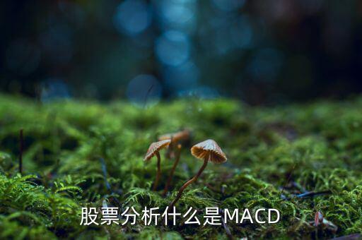股票中macd是什么意思，股票中MACD指標(biāo)是什么意思