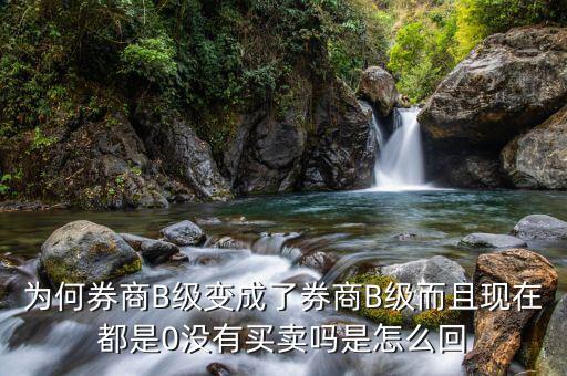 券商B級(jí)為什么賣(mài)不掉，證券b級(jí)怎么沒(méi)有交易