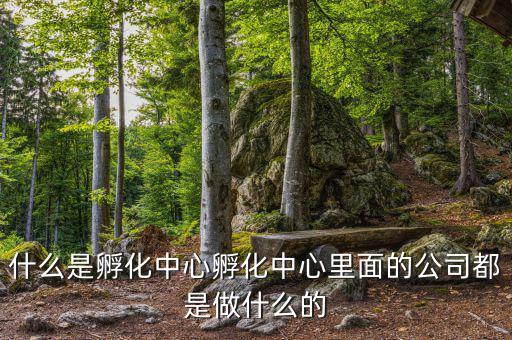 信隆實(shí)業(yè)是做什么的，什么是孵化中心孵化中心里面的公司都是做什么的