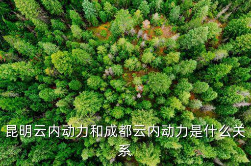 云南云內(nèi)動(dòng)力是什么性質(zhì)，什么是云內(nèi)發(fā)動(dòng)機(jī)