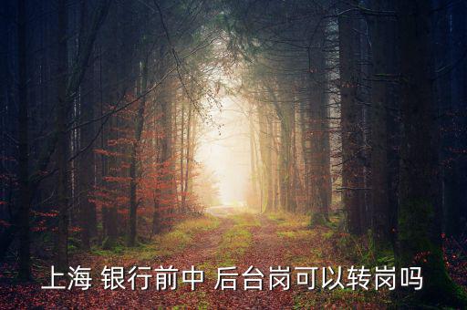 銀行前臺(tái)怎么轉(zhuǎn)后臺(tái),銀行分為中央銀行和政策銀行、商業(yè)銀行等