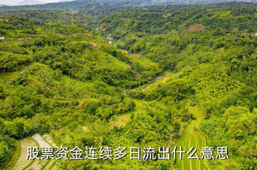 為什么一支股票連續(xù)幾月大單流出，股票資金連續(xù)多日流出什么意思