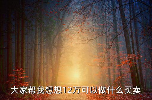12萬投資什么項(xiàng)目，投資十二萬元能做什么呢