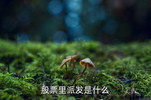 什么是股票派發(fā)，股票什么叫派發(fā)