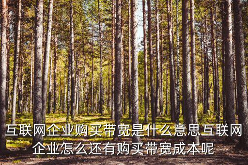 帶寬采購(gòu)是什么意思，請(qǐng)問(wèn)帶寬出口批發(fā)是什么出口的定義是 麻煩幫幫忙