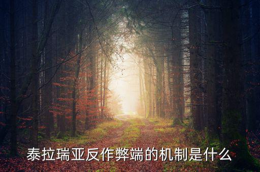 什么是反舞弊機制，google廣告聯(lián)盟反作弊系統(tǒng)原理嗎