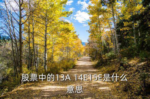 市盈率13a什么意思，財務(wù)報表中13A 14E 是什么意思