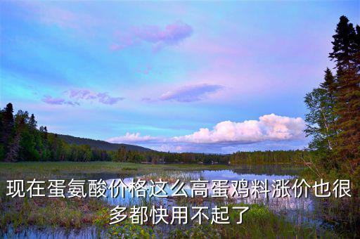 蛋氨酸價(jià)格為什么上漲，蛋氨酸持續(xù)走高面對利潤壓縮售價(jià)漲還是不漲歡迎討論