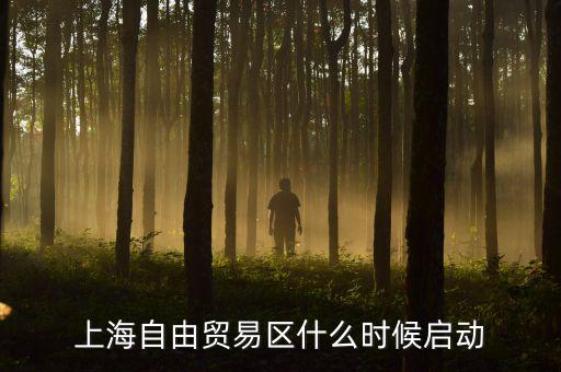 上海自貿(mào)區(qū)什么時候開放，上海自由貿(mào)易區(qū)什么時候啟動