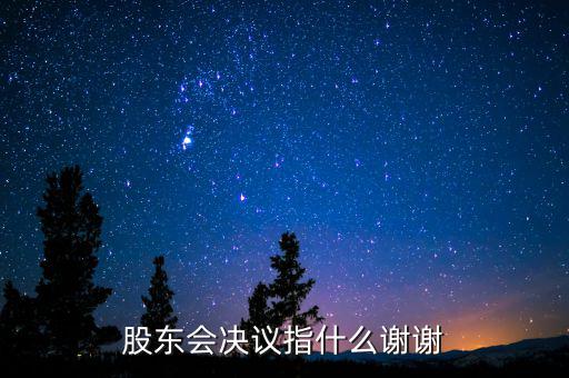 什么是股東會(huì)決議，有限責(zé)任公司決議叫股東會(huì)會(huì)決議那么國有企業(yè)決議應(yīng)該叫什