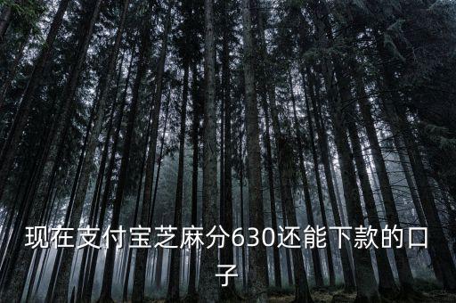 支付寶口子是什么意思，支付寶口子是什么意思